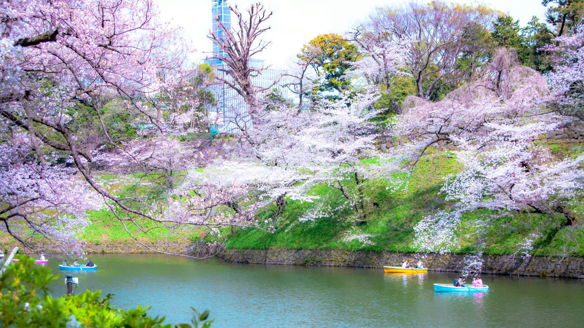 Tokyo, Japan — 7-Day Luxury Itinerary